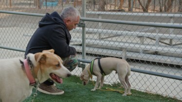 Cesar Millan - Tel maître, tel chien - Contre-attaque 3.jpg