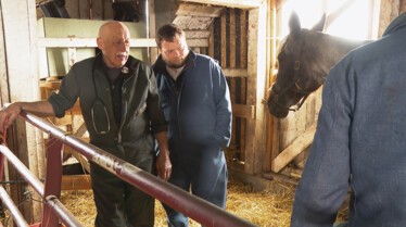 L'incroyable Dr Pol - Le retour du printemps 3.jpg