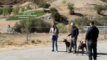 Cesar Millan Tel maître, tel chien - Double jeu 2.jpg