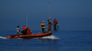 Le royaume de la baleine bleue 1.JPG