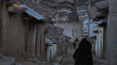 De l'ombre à la lumière - L'Empire Inca 5.jpg