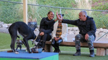 Cesar Millan - Tel maître, tel chien - Vaincre le traumatisme 1.jpg