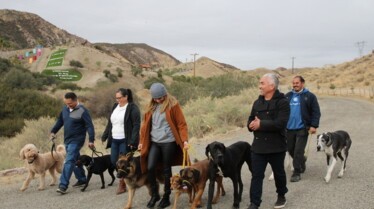 Cesar Millan - Tel maître, tel chien - Vaincre le traumatisme 4.jpg