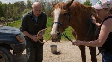 L'incroyable Dr Pol - Envahis par les flots 4.jpg