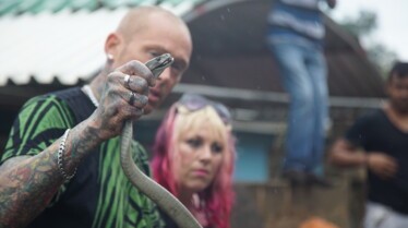 Snakes In The City - Un orage de serpents 3.jpg