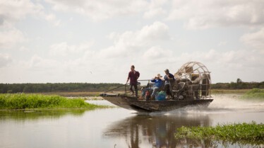 SOS Matt - Les crocodiles sont de sortie 1.jpg