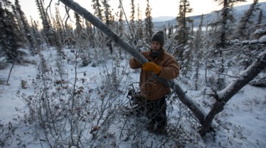 Alaska Nouvelle vie - Instincts primaires 1.jpg