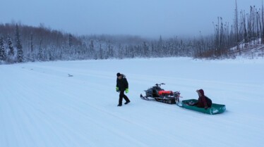 Alaska Nouvelle vie - Instincts primaires 2.JPG