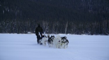 Alaska Nouvelle vie - Vent de changement 2.JPG
