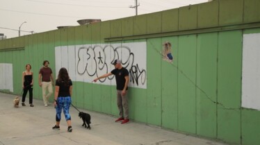 Dog Impossible - Promenade sous haute tension 1.jpg