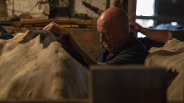 L'incroyable Dr Pol - Le cochon d'Inde 4.jpg