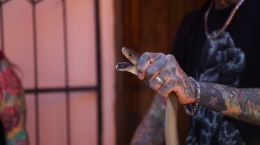 Snakes In The City - Contrôle au sol 1.jpg