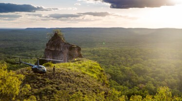 SOS Matt - Terrain de chasse 2.jpg