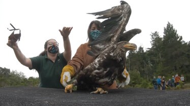 SOS Animaux Alaska 2.jpg