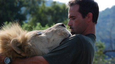 Ma vie avec les lions 3.JPG