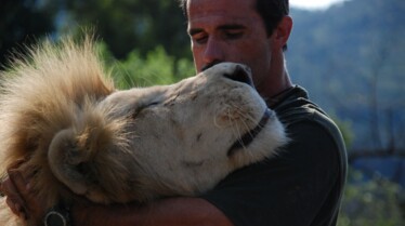 Ma vie avec les lions 4.JPG