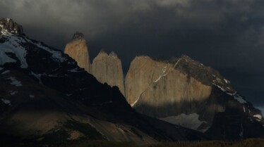 Puma, lion des Andes 6.jpg