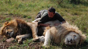 Ma vie avec les lions 7.JPG