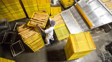 Food Factory - Jaune moutarde 3.jpg