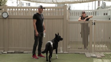 Dog Impossible - Quand Harry rencontre Sari 1.jpg