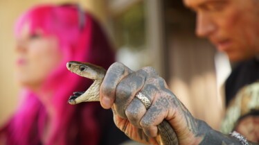 Snakes In The City - Domaine de chasse 2.jpg