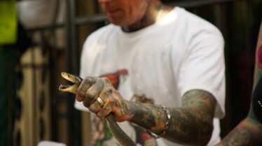 Snakes In The City - Domaine de chasse 3.jpg