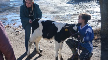 L'incroyable Dr Pol - L’événement de l’année 5.jpg