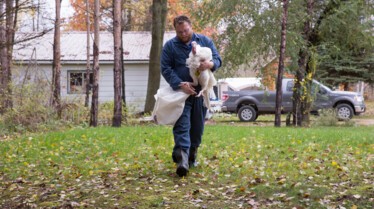 L'incroyable Dr Pol - Les dindes de Thanksgiving 3.jpg