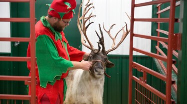 L'incroyable Dr Pol - Le père Pol 2.jpg