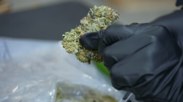 Ultimate airport - USA - La drogue des fêtards 2.JPG