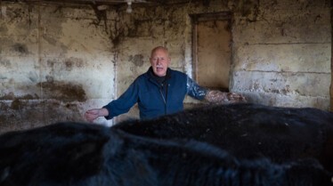 L'incroyable Dr Pol - De gros sabots 2.jpg