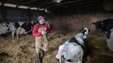 L'incroyable Dr Pol - Une nouvelle recrue 3.jpg