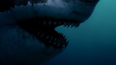 Prédateurs de la Préhistoire - Le requin monstre 1.JPG