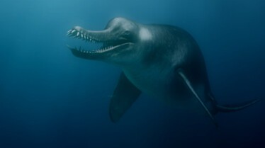 Prédateurs de la Préhistoire - Le requin monstre 5.JPG