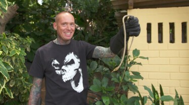 Snakes In The City - Panique en ville 4.jpg