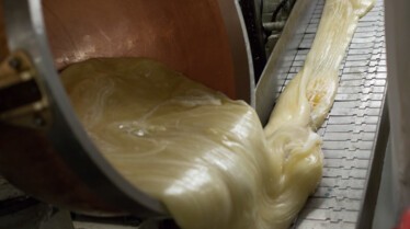 Food Factory - Rois de la trempette 5.jpg