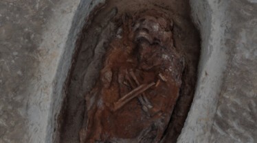 Le royaume des momies égyptiennes - Entrée par effraction 4.jpg