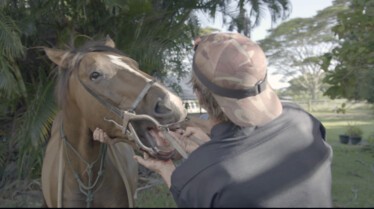 Les aventures du Dr. Buckeye Bottoms - La « ohana » du Dr Buckeye 2.jpg