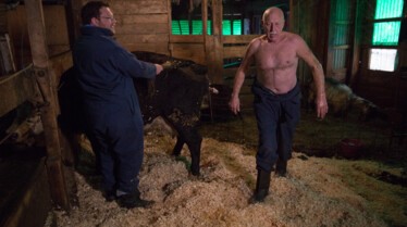 L'incroyable Dr Pol - Une journée bien remplie 1.JPG