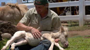 Les aventures du Dr. Buckeye Bottoms (4).jpg