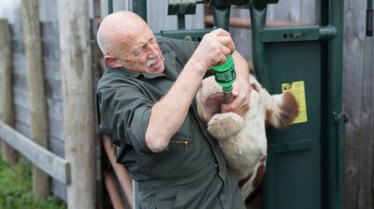L'incroyable Dr Pol  (1).jpg