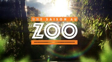 Une saison au zoo saison 8 (2).jpg