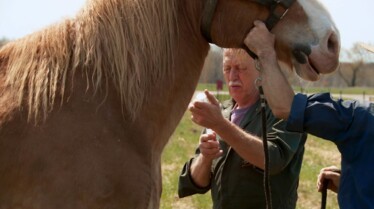 L'incroyable Dr Pol  (5).jpg