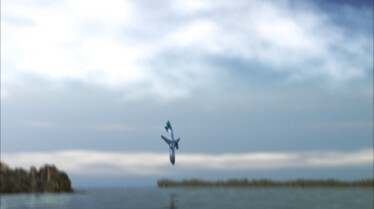 Air Crash  Poussé à bout (3).jpg