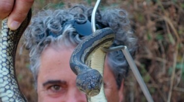 Incroyables serpents (5).jpg