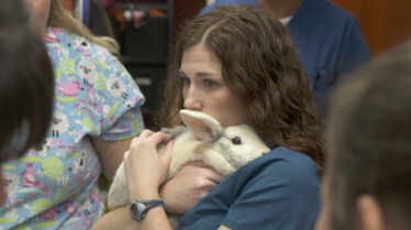 La clinique des animaux exotiques (2).jpg