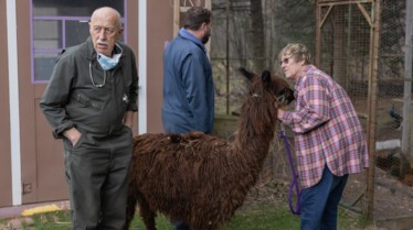 L'incroyable Dr Pol (1).jpg