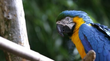 Une saison au zoo saison 8 (32).jpg