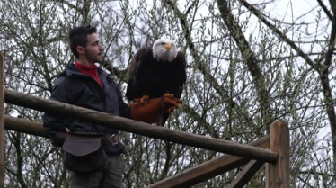 Une saison au zoo saison 8 (36).jpg