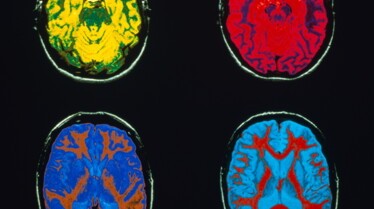 Brain Games  (2).JPG